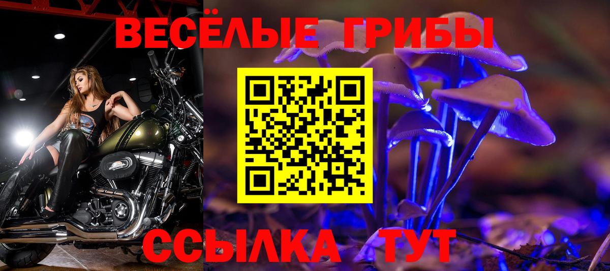 Галлюциногенные грибы GOLDEN TEACHER Котельники